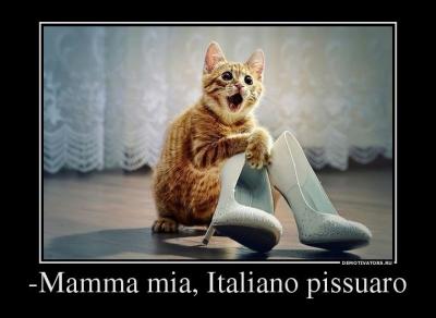 Прикрепленное изображение: 000zr7hq.jpg